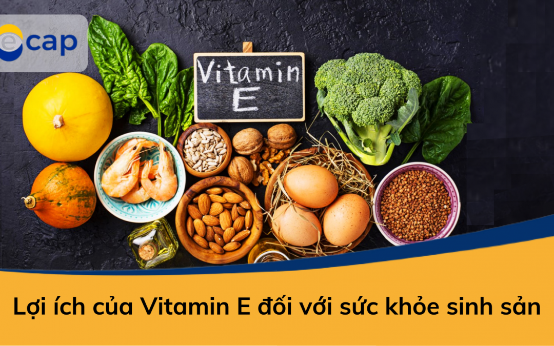 Lợi ích của Vitamin E đối với sức khỏe sinh sản